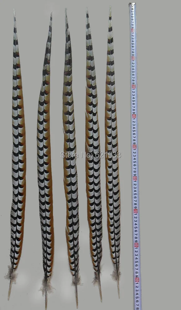 

10Pcs Natural Reeves Pheasant Feathers 90-100cm for Crafts DIY Art Quilling Hair Accessories Tail Feathers