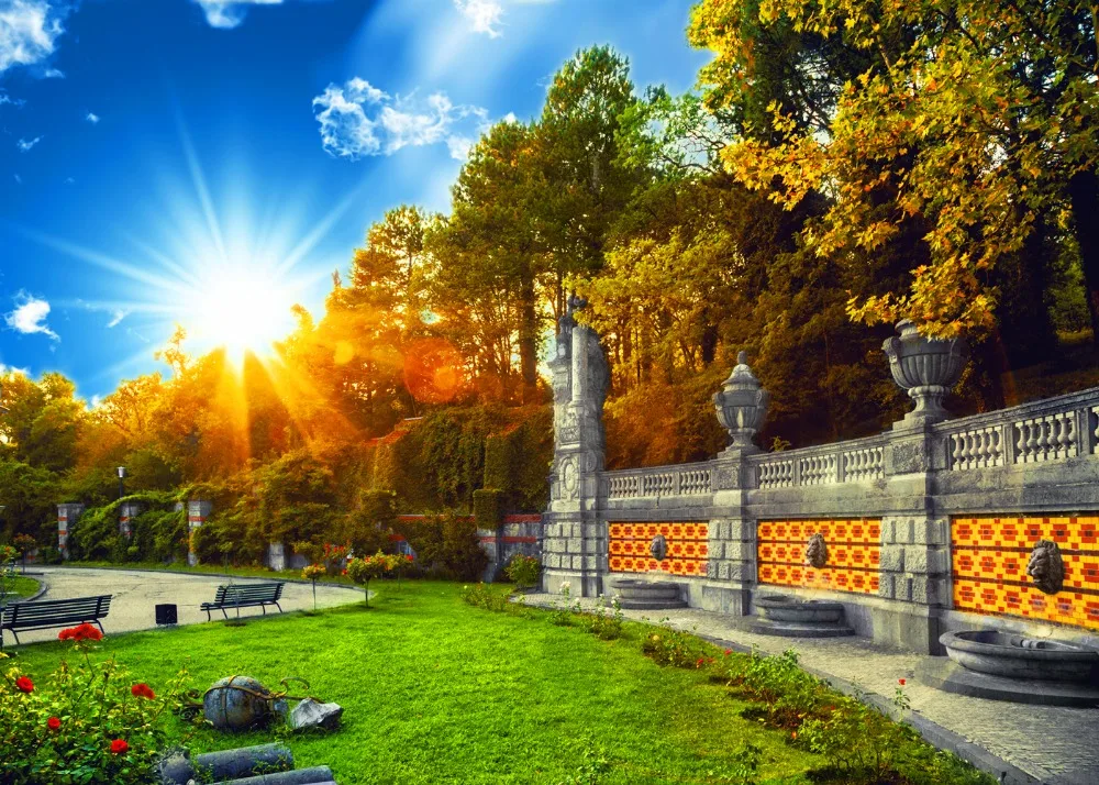 Capisco Spring Park Trees Flower Grass Bench Scenic Photography Backgrounds Customized Photographic Backdrops For Photo Studio