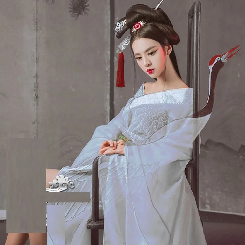 Longevity Crane Simple Elegant Fairy Costume Hanfu for Women Exhibition New Design Photography Hanfu Cosplay Costume Female