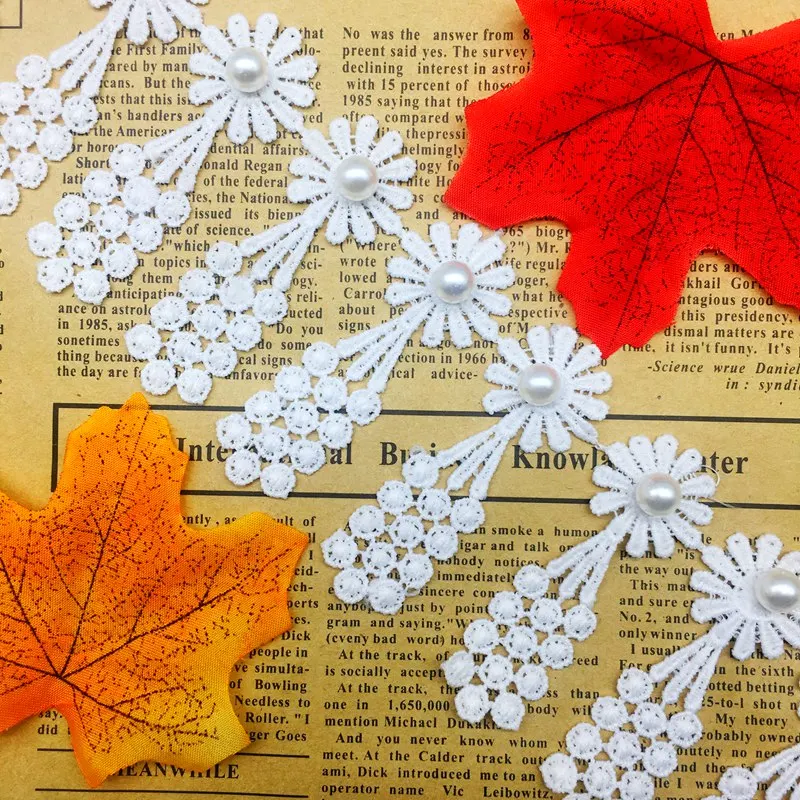20Pcs Daisy Flower White Embroidered Lace Fabric Trim Ribbon Applique Tassel Grape Handmade Sewing Craft For Costume Decoration view 3