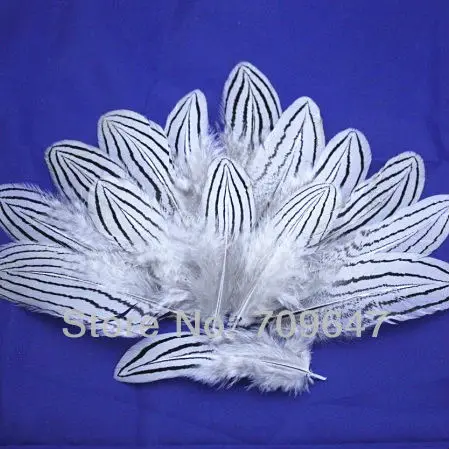 

100Pcs/Lot!7-10cm BEAUTIFUL SILVER PHEASANT BODY PLUMAGE FEATHERS,Loose Feathers for Milliners,Fascinators&Fly Tie Fisherman