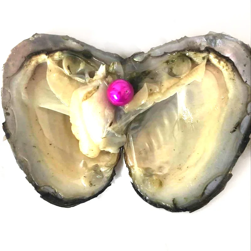 

20pcs Single Hot Pink 9-10mm Near Round Edison Pearl with Vacuum Packed Oyster Fresh Pearl in Oyster