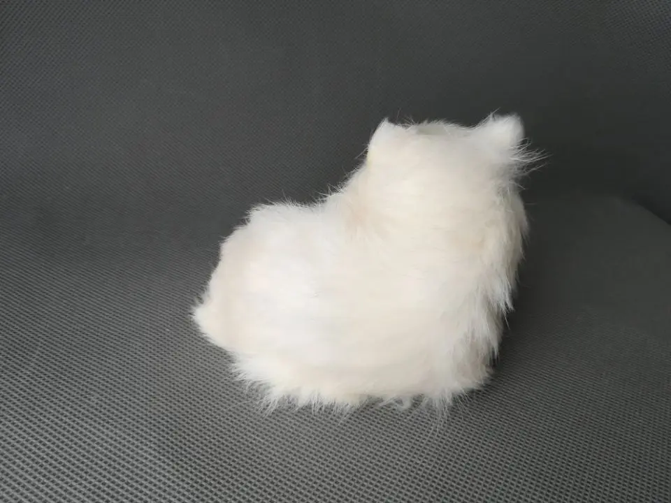 real life toy Curled up fox 13x12x8cm model polyethylene&furs white fox model home decoration props ,model gift h1252