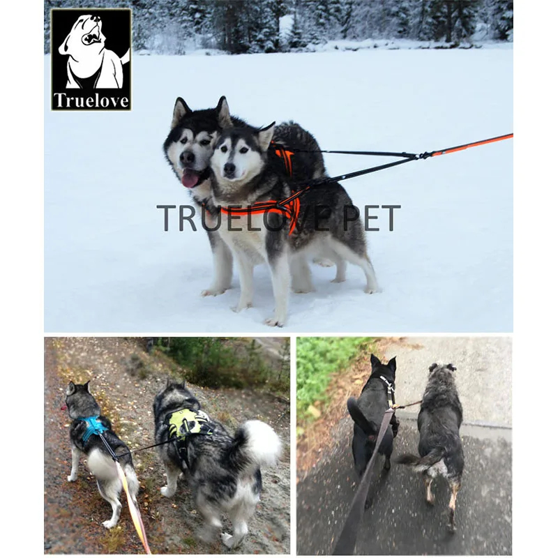 Truelove Nylon Double Dog Leash For Two Dogs Coupler No Tangle Pet Leash For Large Small Dogs For Training Running TLH2372