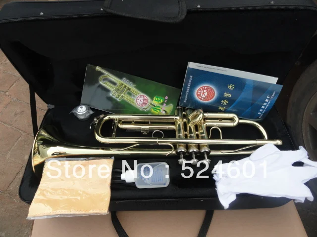 Brand Instrument Xinghai XT-120 Brass Gold Plated Surface Small Bb Trument For  Beginners Bb Trumpet With Case Mouthpiece