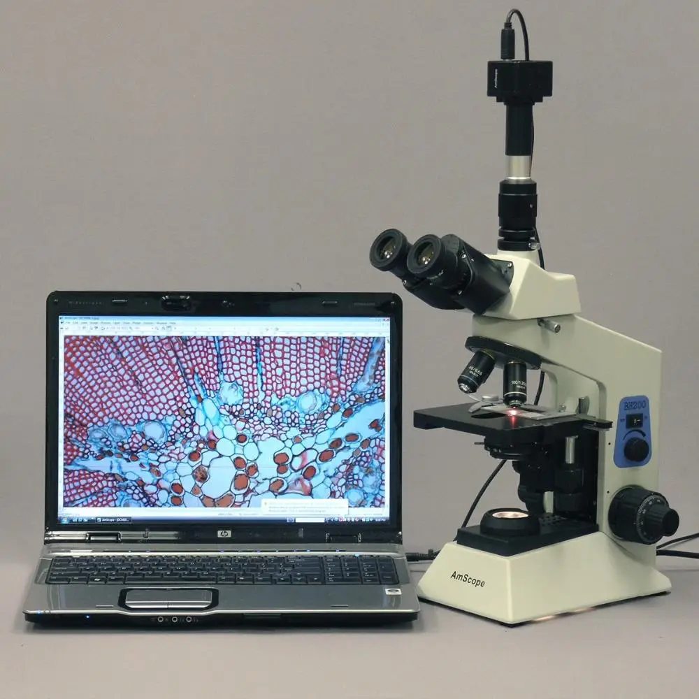 Forniture 1600X Microscopio-AmScope Ricerca professionale Professionista di Ricerca Biologico Microscopio Composto
