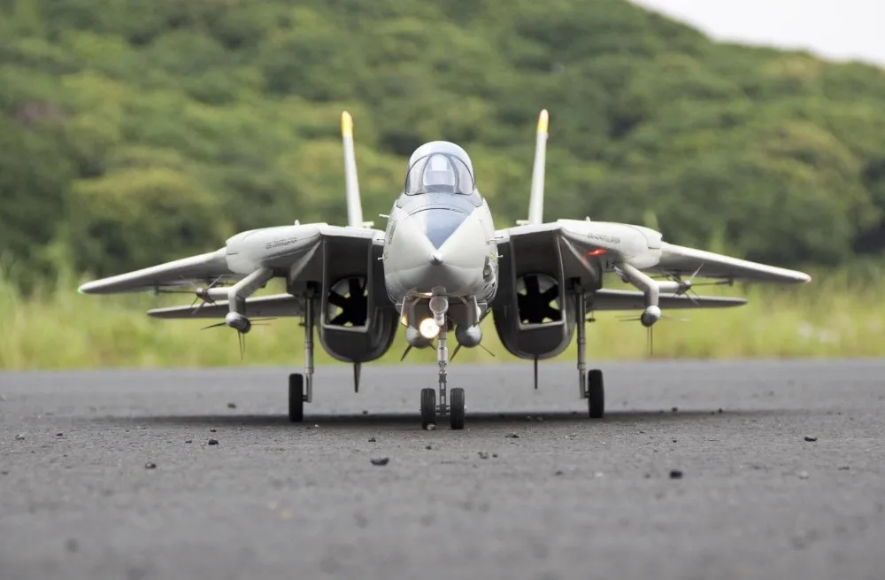 デュアルリモートコントロール航空機ジェットモデルF-14,ドーム