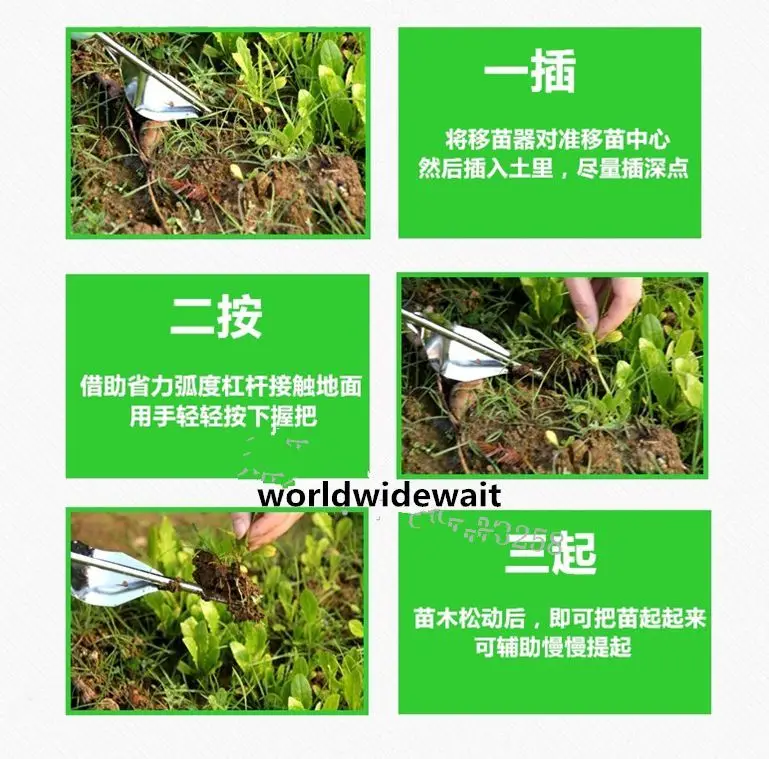 Dispositivo de raiz de aço inoxidável para jardim, remove grama e mudas