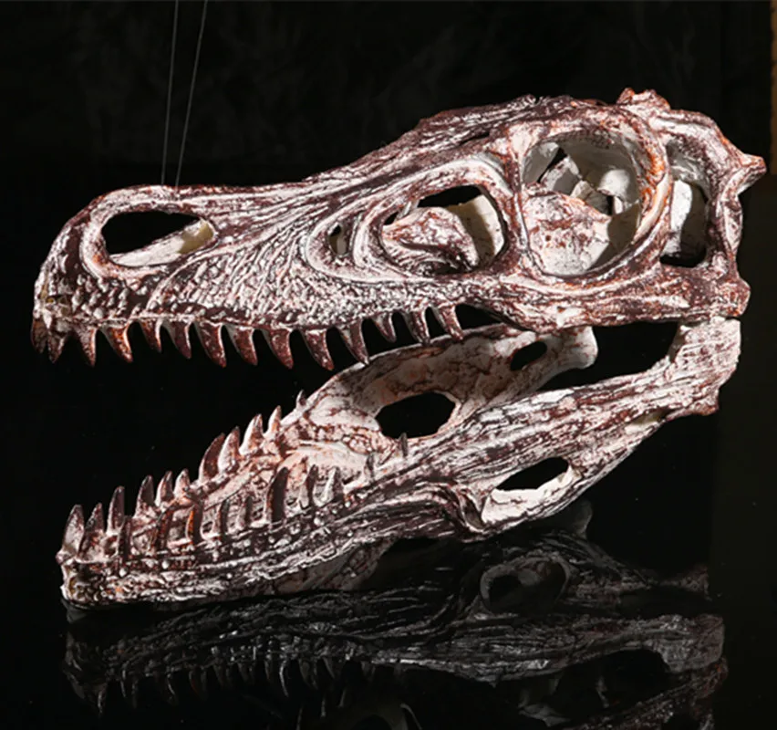 VelociRaptor Resin Skull Replica Head Model Skeleton Collection Drawing Teaching