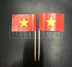 Mini 50Pcs Vietnam Toothpick Flags Paper Food Picks Cake Toothpicks Cupcake Toppers Fruit Cocktail Sticks Decoration Toothpicks