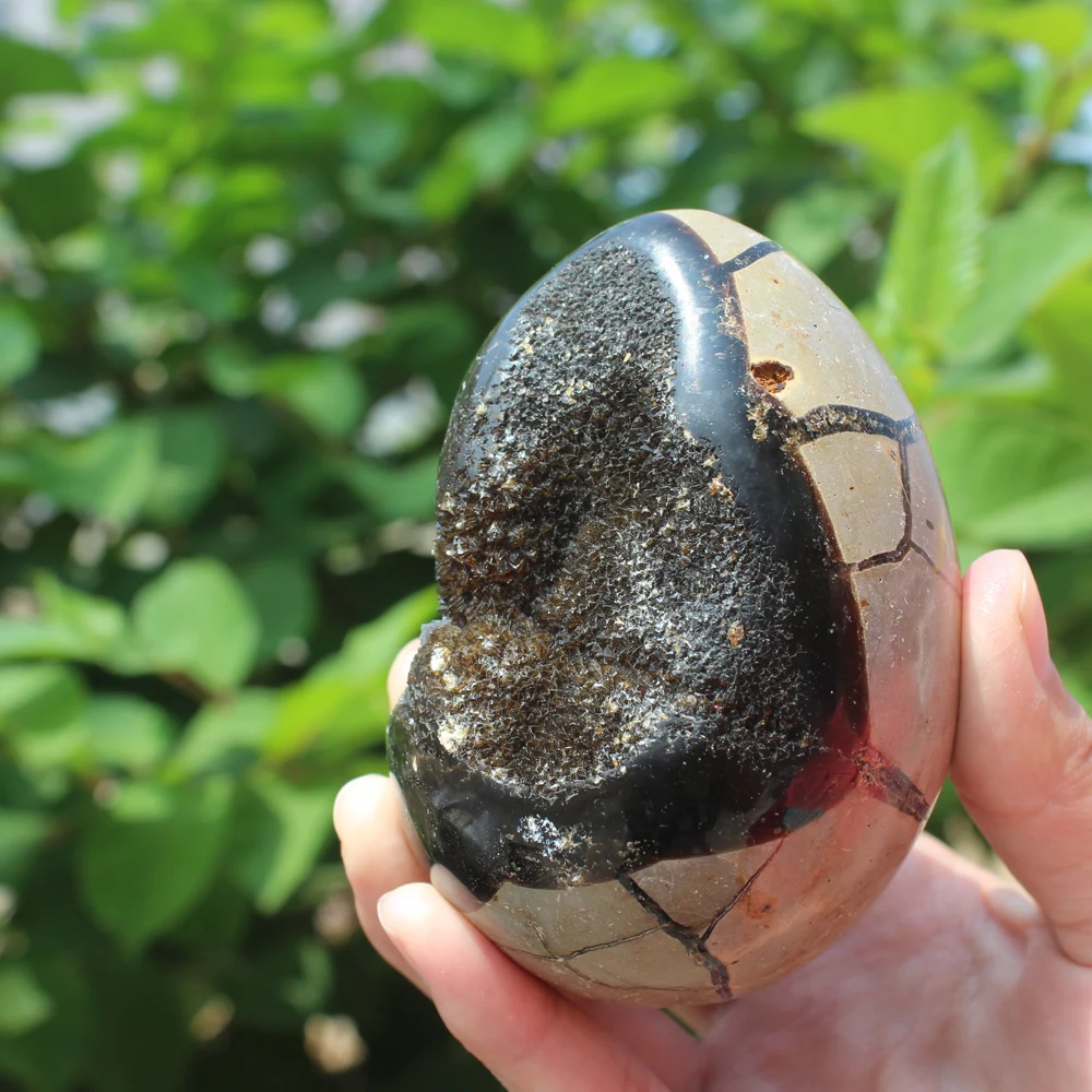 450g Natural curvature of the furnishing articles Turtle grain stone egg  Ball Septarian nodule  Crystal Healing quartz 21