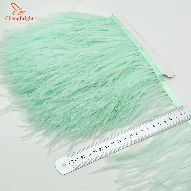 ChengBright Wholesale High Quality 10Yards Mint Green Ostrich Feather Ribbon Ostrich Feathers Trim Fringe Clothing Decoration