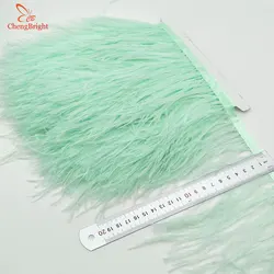 ChengBright Commercio All'ingrosso di Alta Qualità 10 Yards Verde Menta Nastro Della Piuma Dello Struzzo Piume di Struzzo Trim Frangia Abbigliamento Decorazione