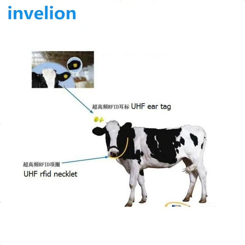 

Free sample EPC Gen 2 ISO 18000 6C 860~960MHz Animal Tracking UHF RFID cattle Ear Tag