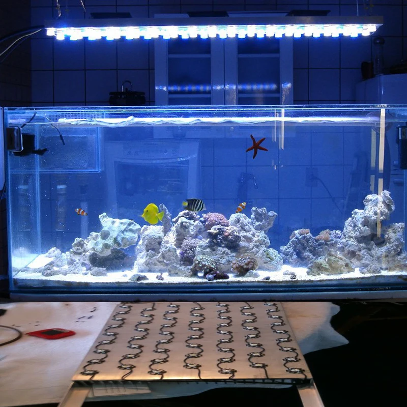 1pcs/lot Epistar 3w led chips bulb diode lamp 3000k 6000k 10000k 440nm 620nm 660nm for aquarium led light led grow light