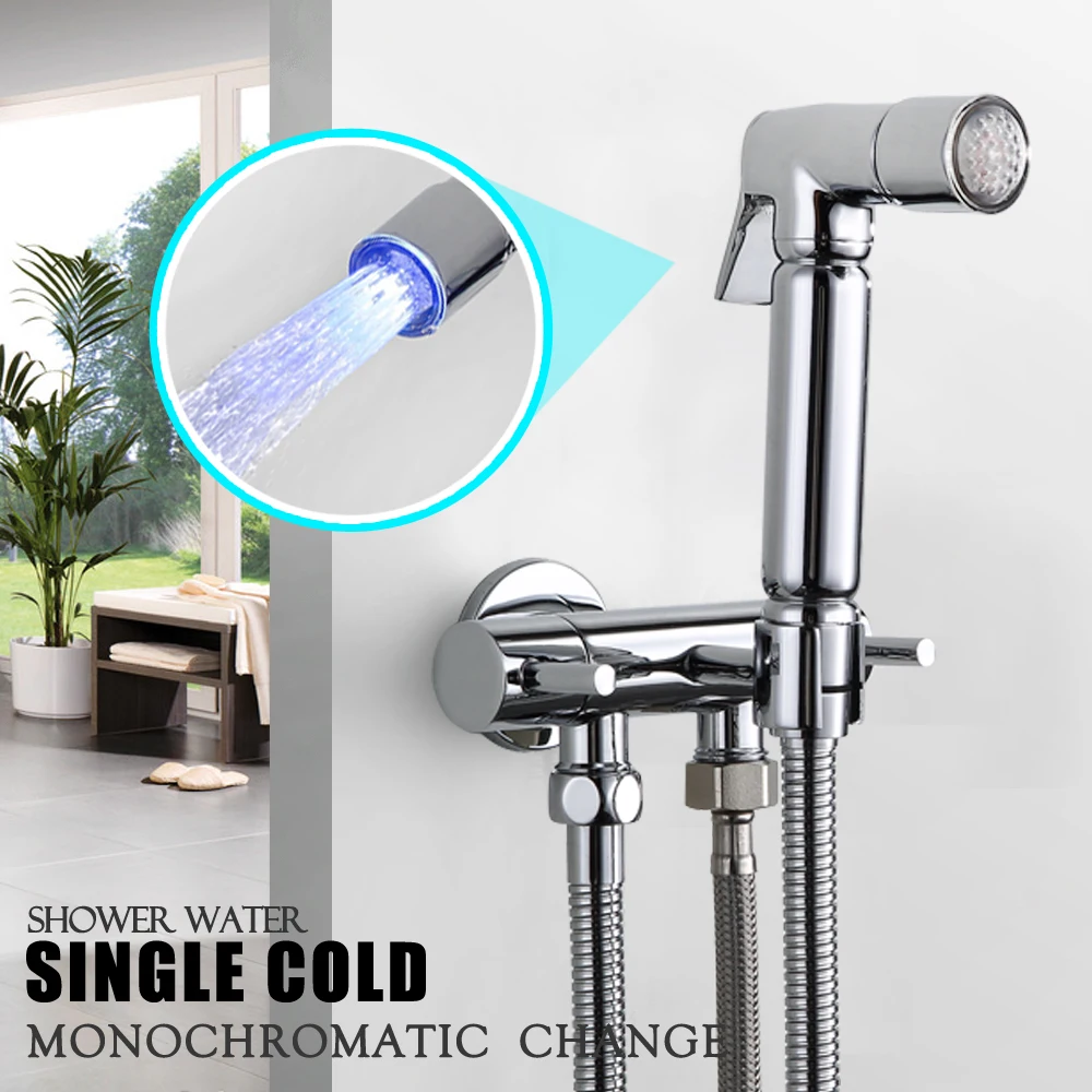 

Single Hole Handheld Bidet WC Shower Toilet Shower Bidet in the Bathroom Bidet Valve Toilette Japonaise