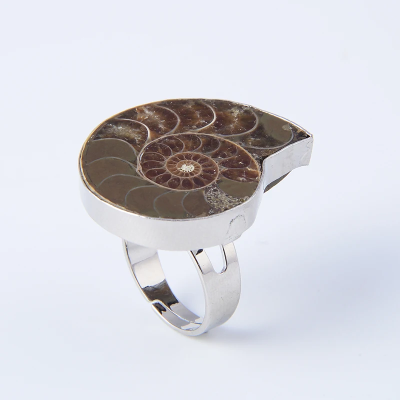 New Popular Silver Plated Resizable Ring Women Men Ammonite Conch Sea Shell Flat Natural Stone Rings Fashion Jewelry