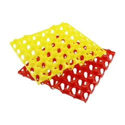 10 Pcs Egg Tray 30 Eggs Zstorage Rack Chicken Farming Equipment Incubator Storage Egg Tray 29x29x 5cm