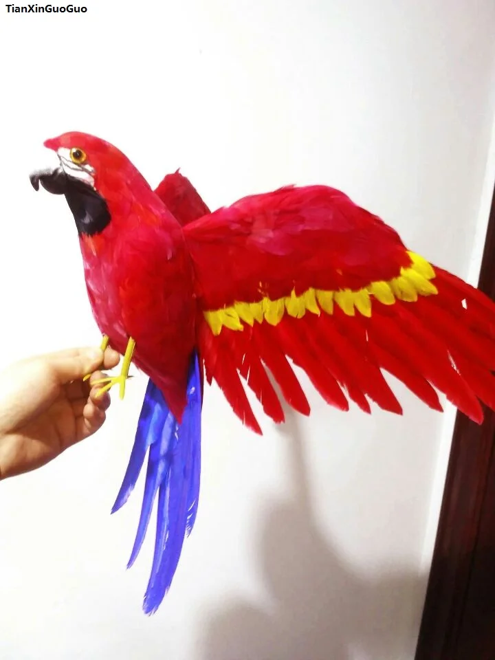 

large 42x60cm spreading wings parrot colourful red feathers parrot bird hard model,garden decoration ornaments gift s1450