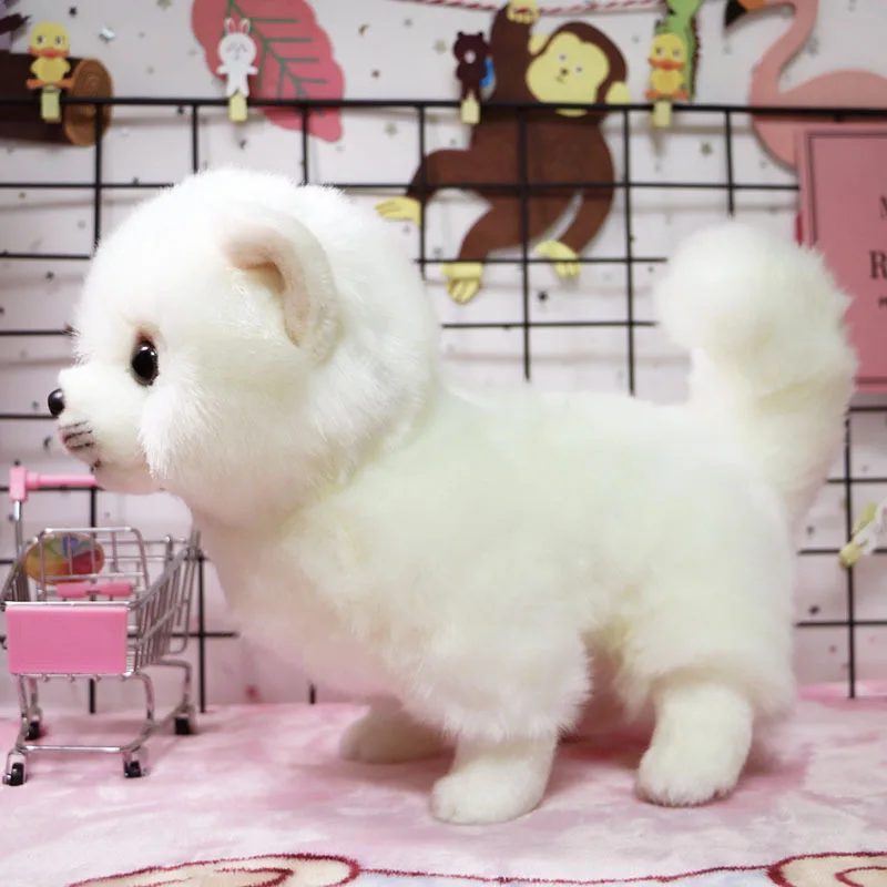 real life toy about 30cm lovely white pomeranian plush toy,soft doll birthday gift h2579