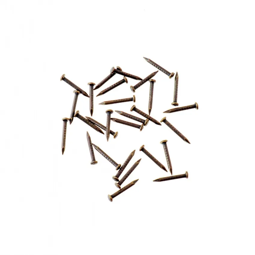 Free Shipping 400pcs Brozne drum nail Fit Hinges Flat Round Head Phillips Cusp Fasteners Hardware 10x2mm