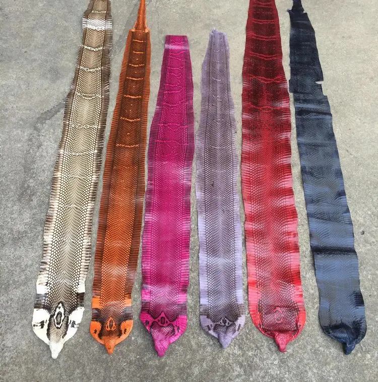 Dyed Colorful Genuine Snake Raw Skin Leather Material Whole Piece