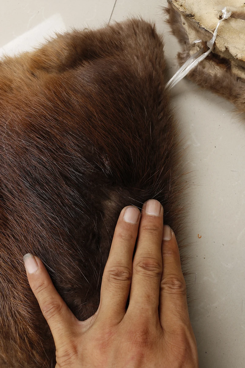 Sprzedaż hurtowa konkurencyjna cena naturalna brązowa owalna kształt futra Beaver futra prawdziwe futra na sprzedaż