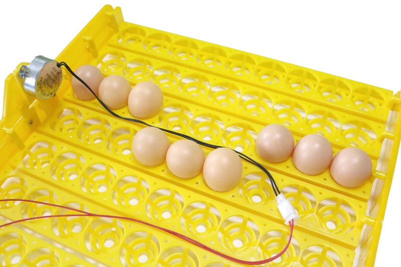 63 Eggs Automatic Incubator Egg Tray Egg Incubator 110v / 220v Motors New Incubation Equipment Farm Poultry Hatching Device