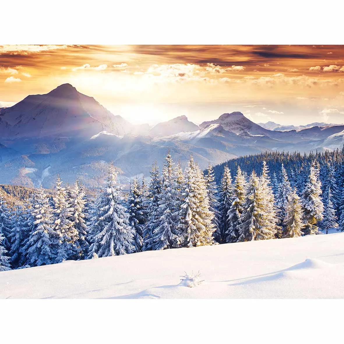 Allenjoy خلفيات للصور استوديو الغابات الثلوج مشمس الشتاء الأبيض خلفية جميلة الوليد التصميم الأصلي الخيال الدعائم