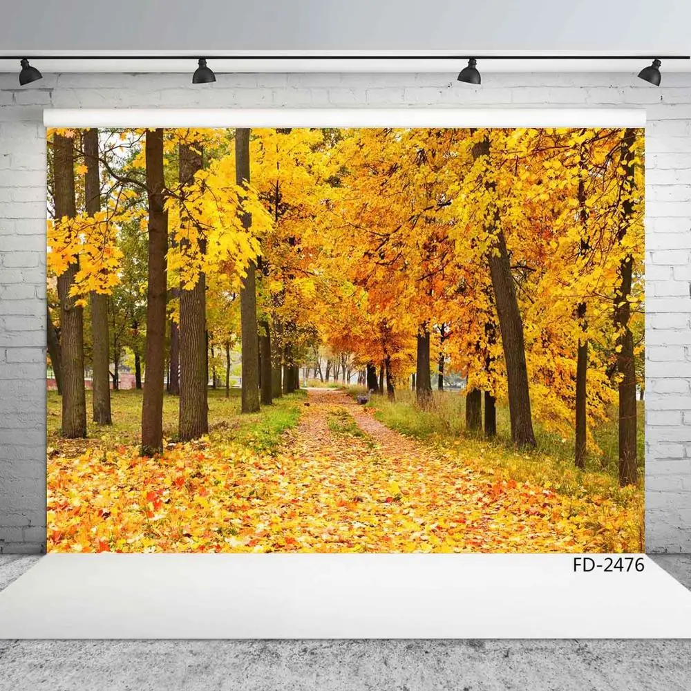

Желтые деревья, дорожка, фотографический фон, виниловая ткань, фотосессии для свадебного любовника, детская фотостудия, фото камеры