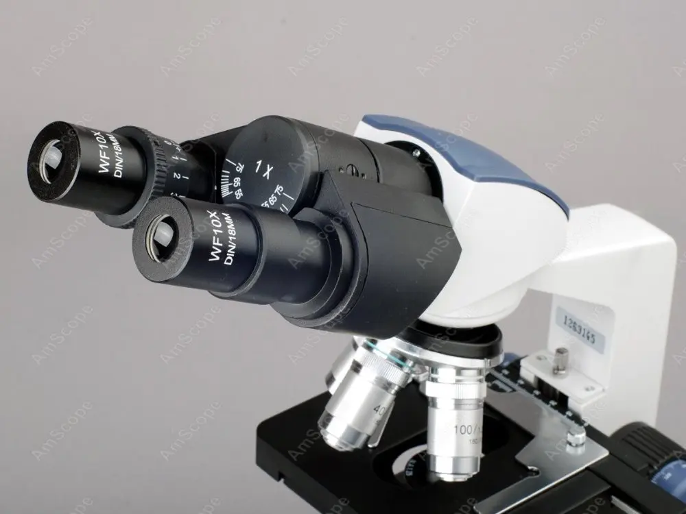 AmScope Supplies 40X-2500X LED Lab Binocular Compound Microscope w 3D Two-Layer Mechanical Stage