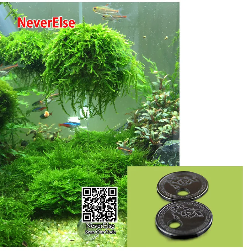 Aquarium Grass Plant Model DIY Moss Ball/Mesh/Christmas Tree Shape Fish Tank Aquatic Decoration Ornament Easy to Grow Landscape - Image 5