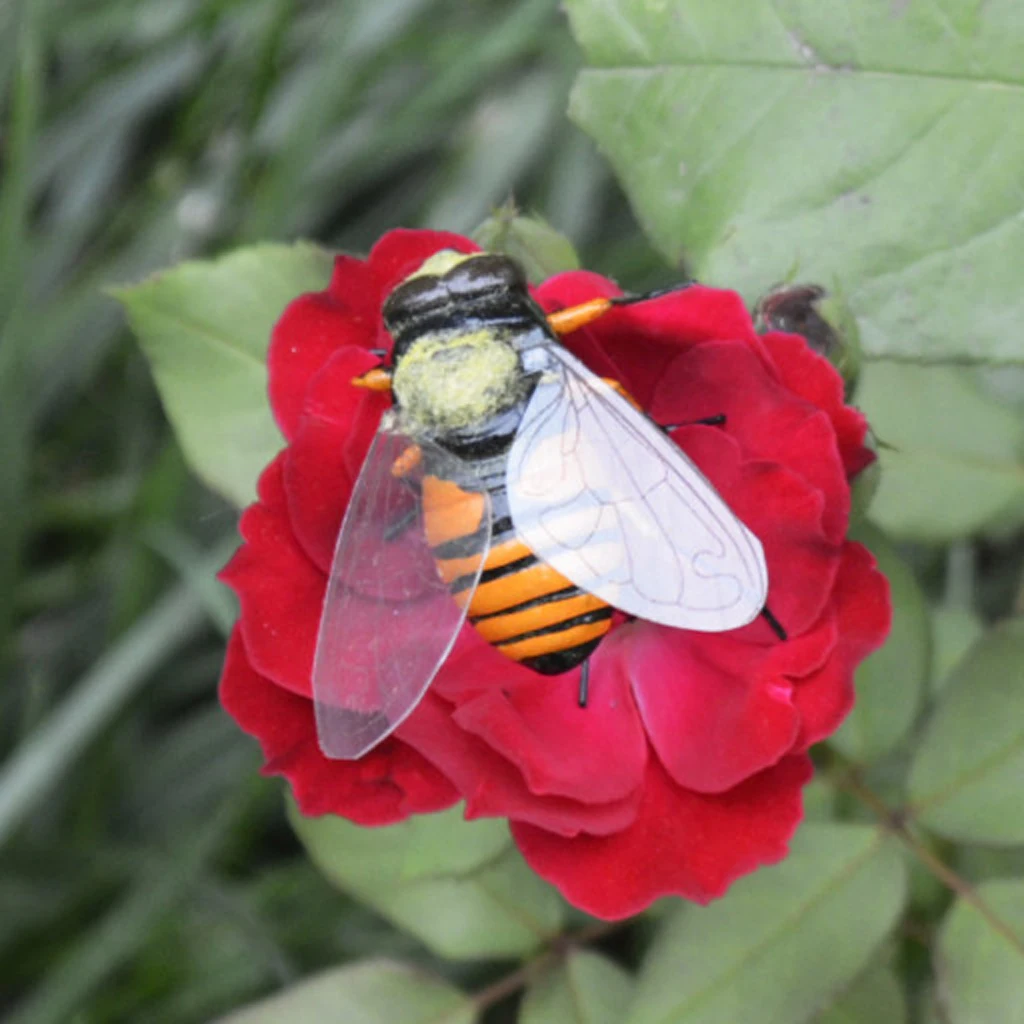 Wędkarstwo muchowe 1 sztuk Bumble Bee konik polny kleń Beetle suche muchy realistyczne owad przynęta do przynęty zestaw dekoracja do przydomowego