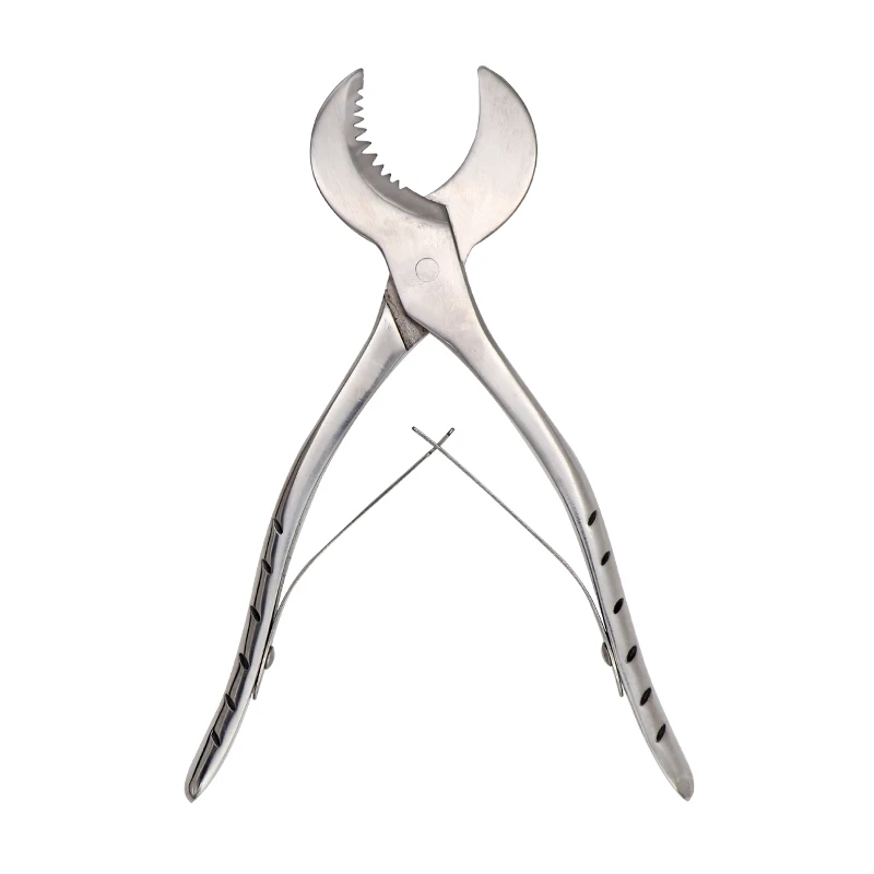 Dental Plaster Shears Scissiors Dentist Lab Tools Large Stainless Steel Forceps Instrument Gypsum Plaster Scissors Material