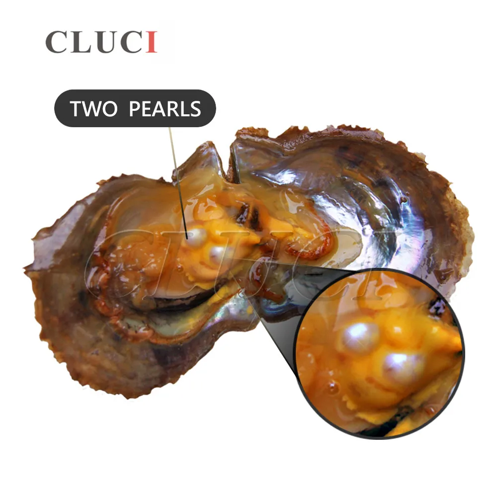 CLUCI 30pcs 6-7mm Natural Akoya Pearl Oyster  Quality Akoya Pearl Bead in Oyster Vacuum Packed Oysters with Twins Pearl WP036SB