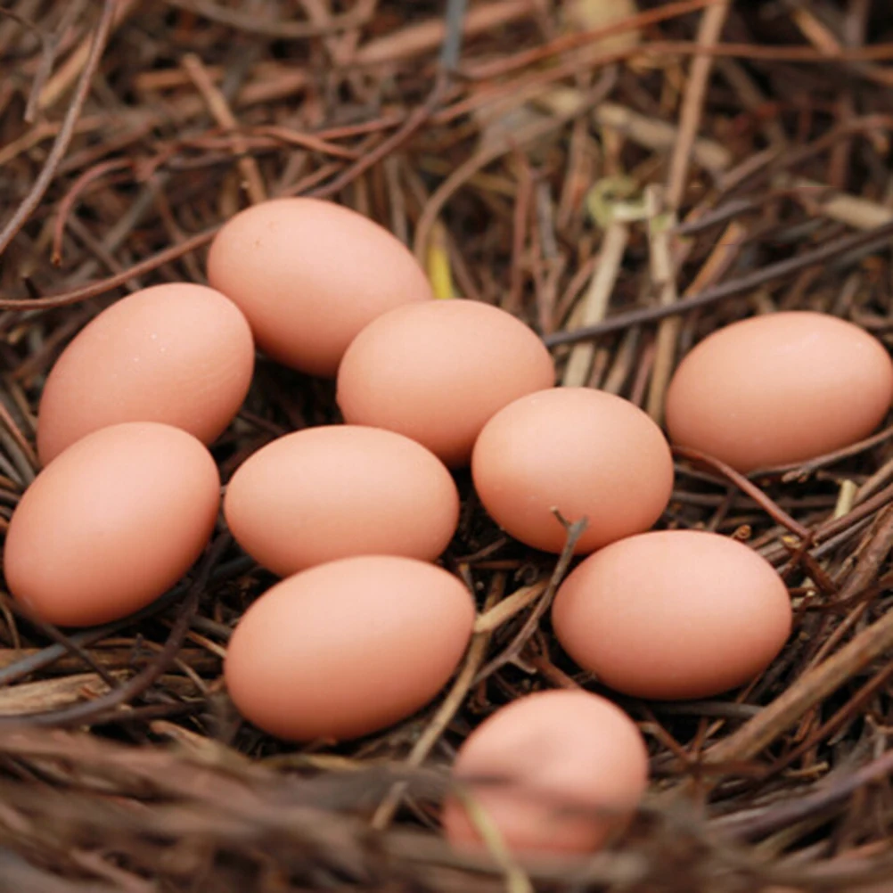 Mini Eggs Nest Fairy Garden Miniature Figurine Toys Crafts DIY Accessories Artificial Birds Nest Simulation Eggs Home Decoration
