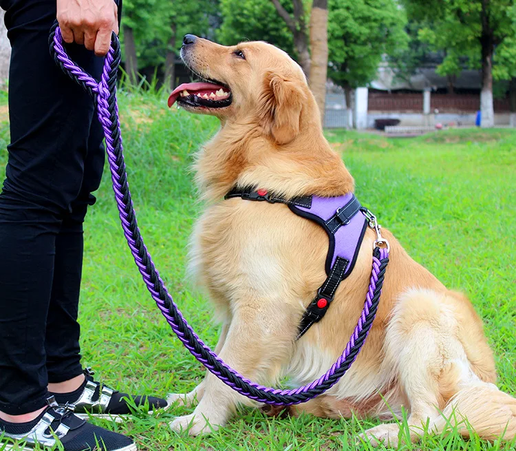 2017 High Quality Upgraded color collar Large Dog Harnesses Traction rope walk the dog P chain Pet For Medium and large Dogs