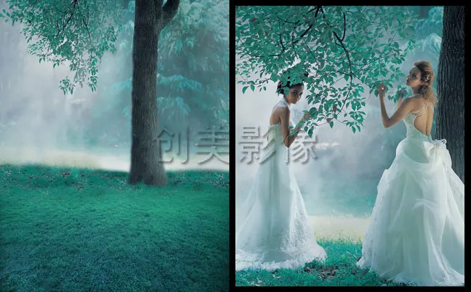 Forest series wedding portrait photo backgrounds photography lovely photography backdrop for art photography studio prop CM-1871