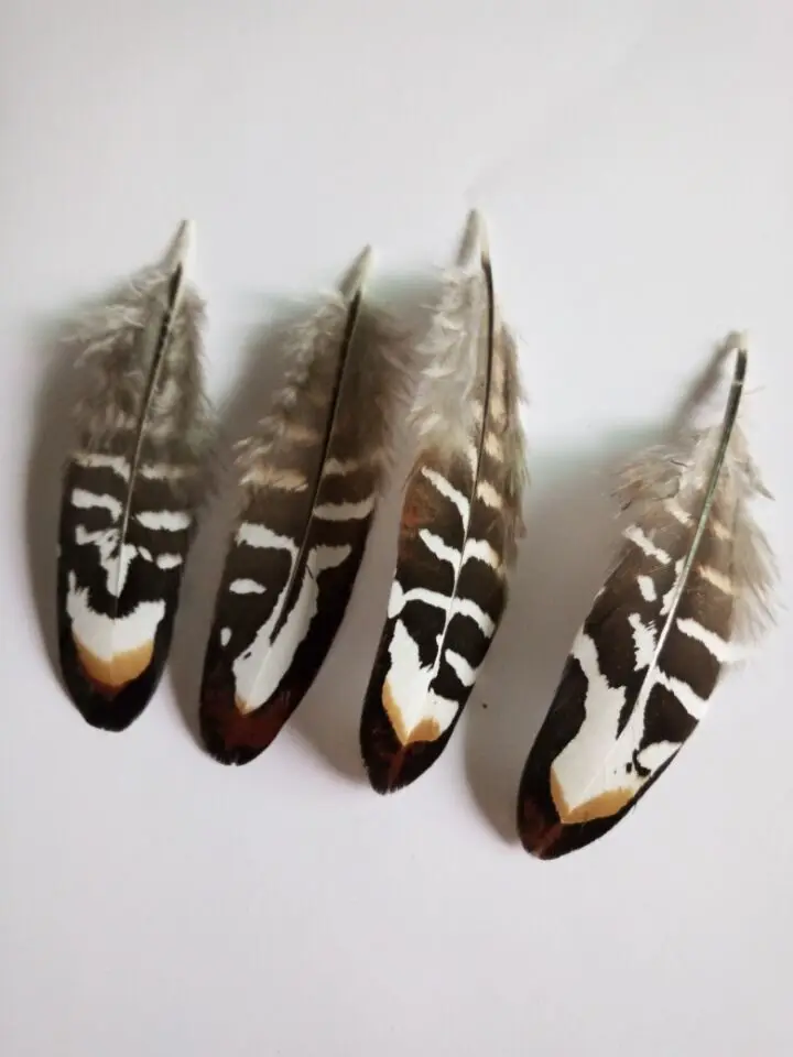 Hot! 10 pc 7-10cm quality natural  Pheasant feathers, diy jewelry decoration