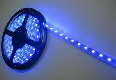 

Wholesale 5M SMD 5050 Blue white Waterproof Strips Light white Strip light 300 LED free shipping