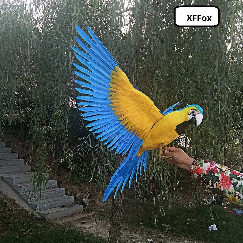 big simulation wings parrot model foam&furs real life blue&yellow parrot model gift about 60x100cm xf1032