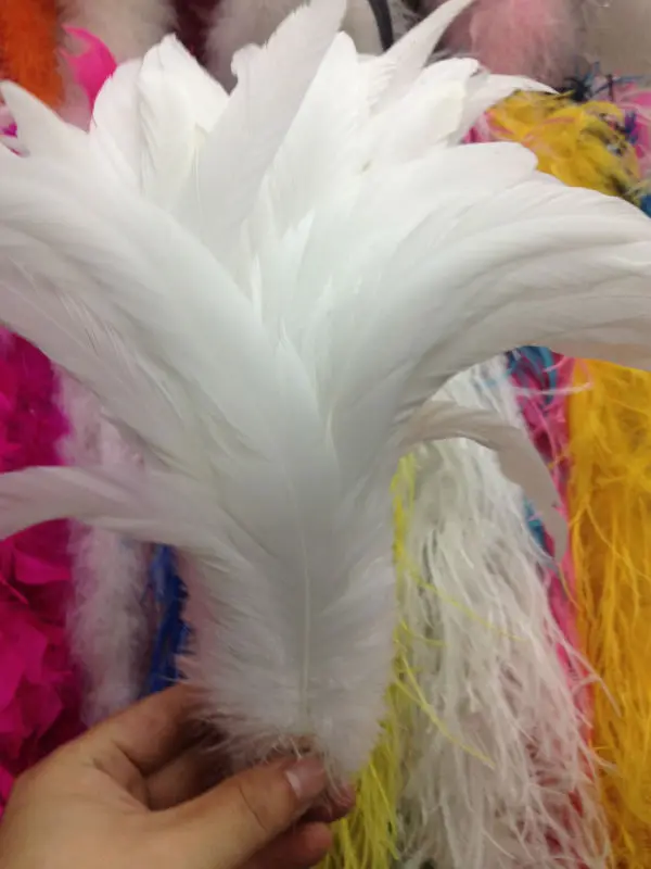 Wholesale perfect  200pcs  high quality natural White rooster tail 10-12inch/25-30cm  Decorative diy  wedding Accessories