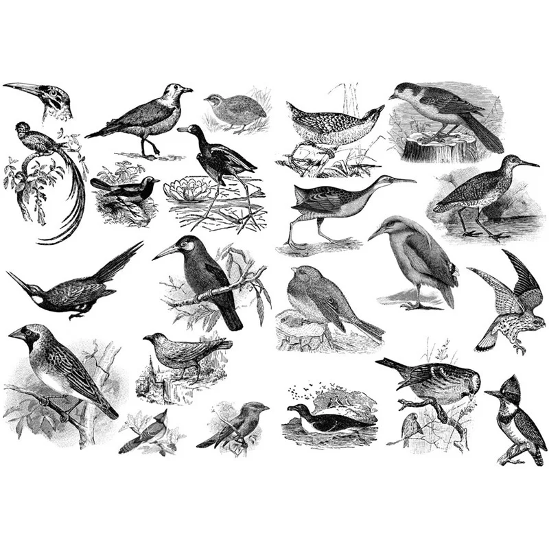 1 PCS Black Sketch Birds Precut Kawaii Stationery Cute  Notebook Sketchbook Dairy Planner Stickers School Office Decor