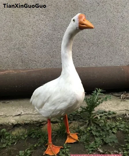 Pluma blanca de polietileno y piel de ganso para decoración del hogar, modelo duro de simulación de 50cm, accesorio de ganso, regalo, s1149