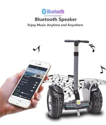 19 Inch Smart Balance Electric Scooter Self Balancing Scooters Samsung Battery 2400W Fat Tire Adults Off Road Hoverboard