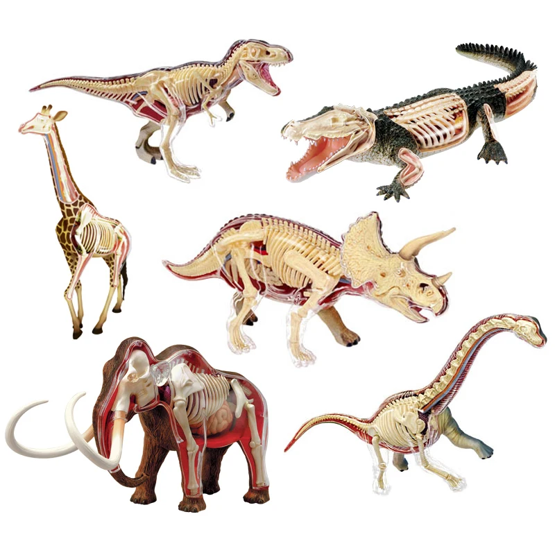 Animal Vision Anatomy Dinosaur Giraffe Wrist dragon Tiger Elephant Shark Model 4D Educational Puzzle Medical Science Doll Toys