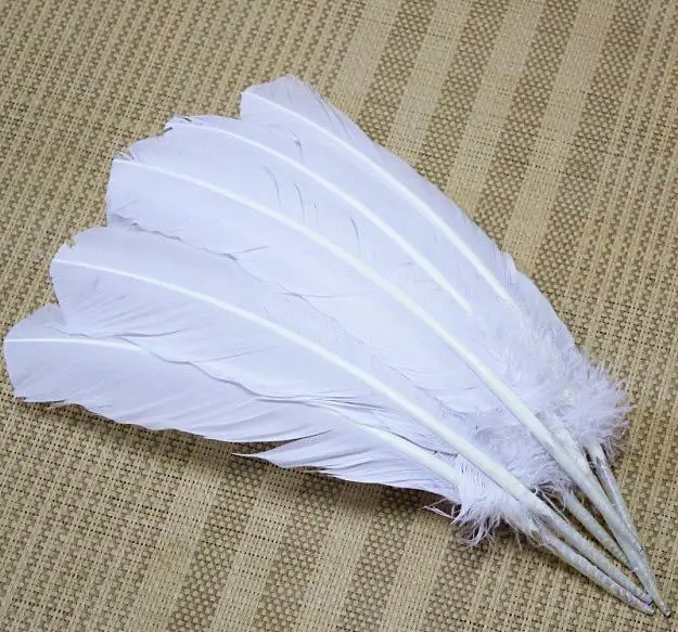 

White Feather! 100pcs/Lot 24-30cm White Colour TURKEY QUILLS Craft TURKEY Wing Feathers,White Turkey Quills, Veren,Plumas,Plume