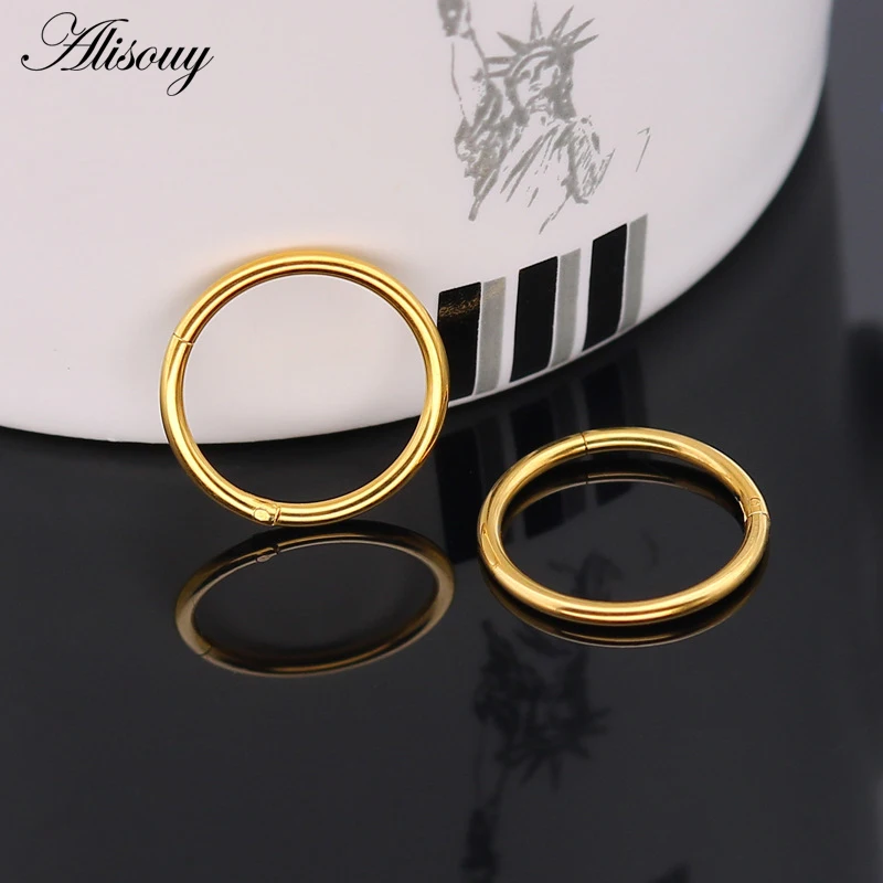 316L Stainless Hinged Segment Ring 16g 14g Nose Lip Nipple Septum Cartilage Nipple Tragus Clicker Captive Body Piercing Jewelry