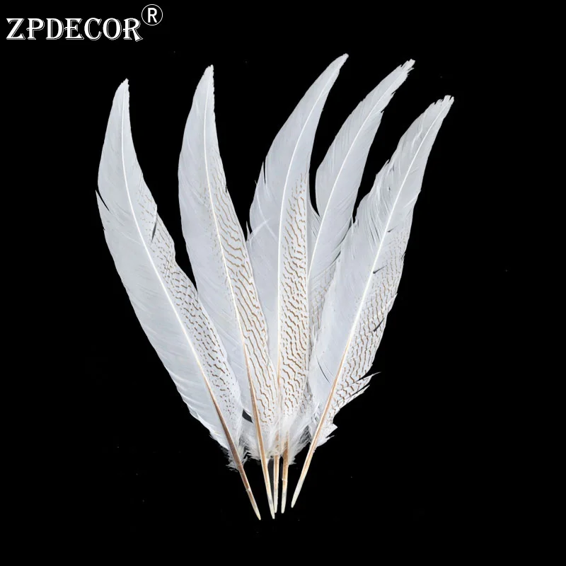 Silver Pheasant Tail Feathers, Customized Color, 45-50 cm, 18-20 Inch