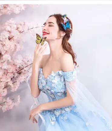 100%real light blue butterfly embroidery ball gown Medieval Renaissance Gown queen cosplay Victoria dress Marie Antoinette/Belle